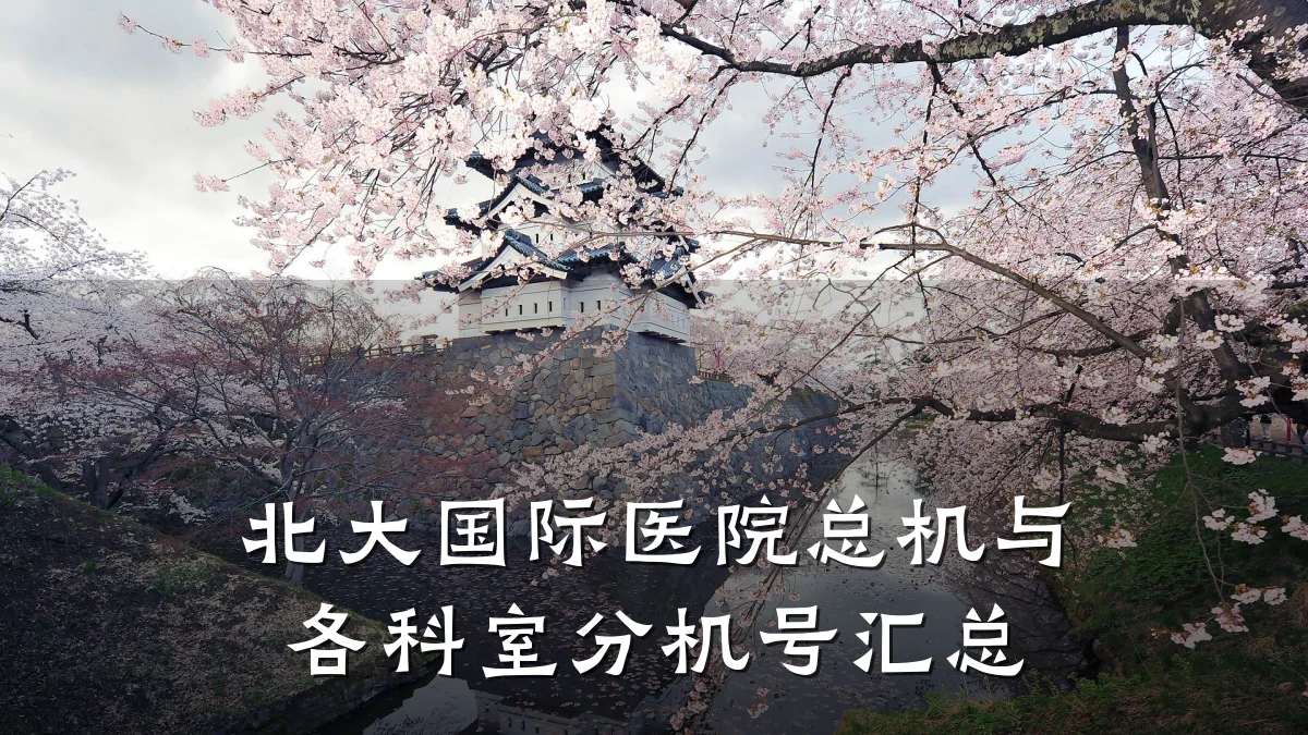 北大国际医院总机与各科室分机号汇总