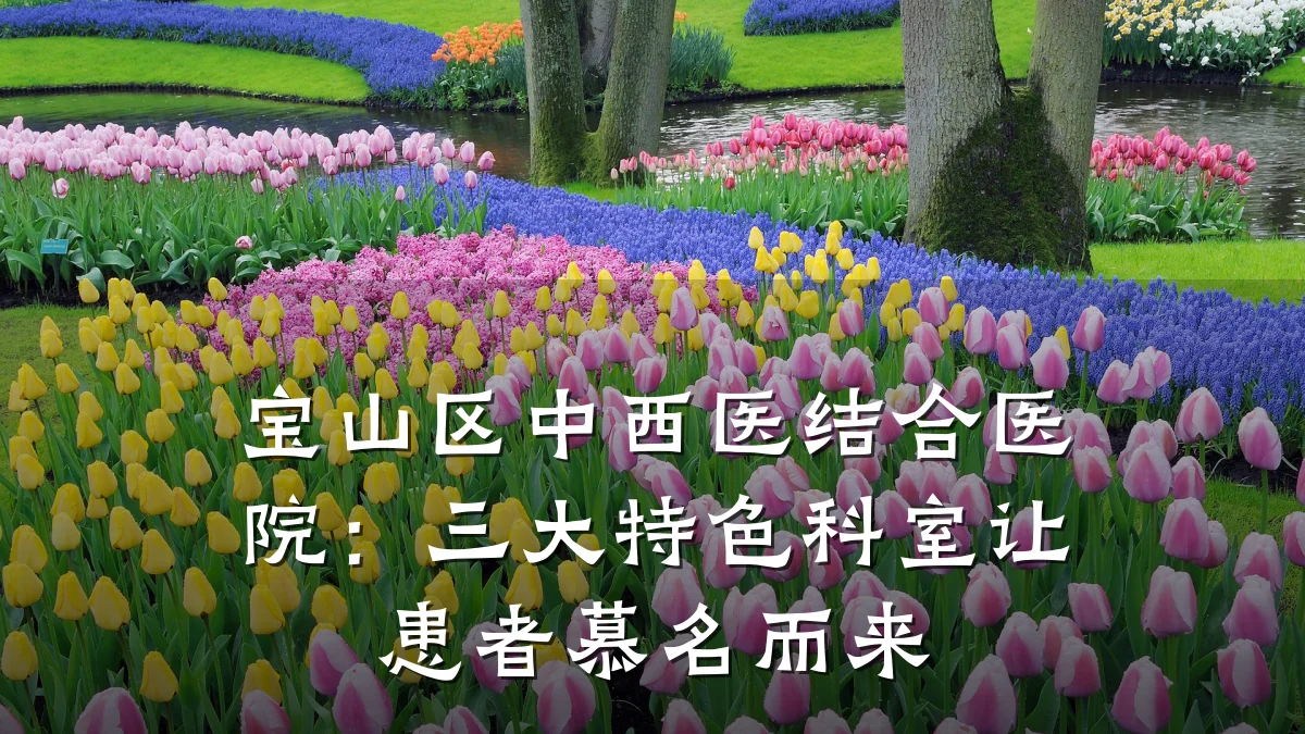宝山区中西医结合医院:三大特色科室让患者慕名而来