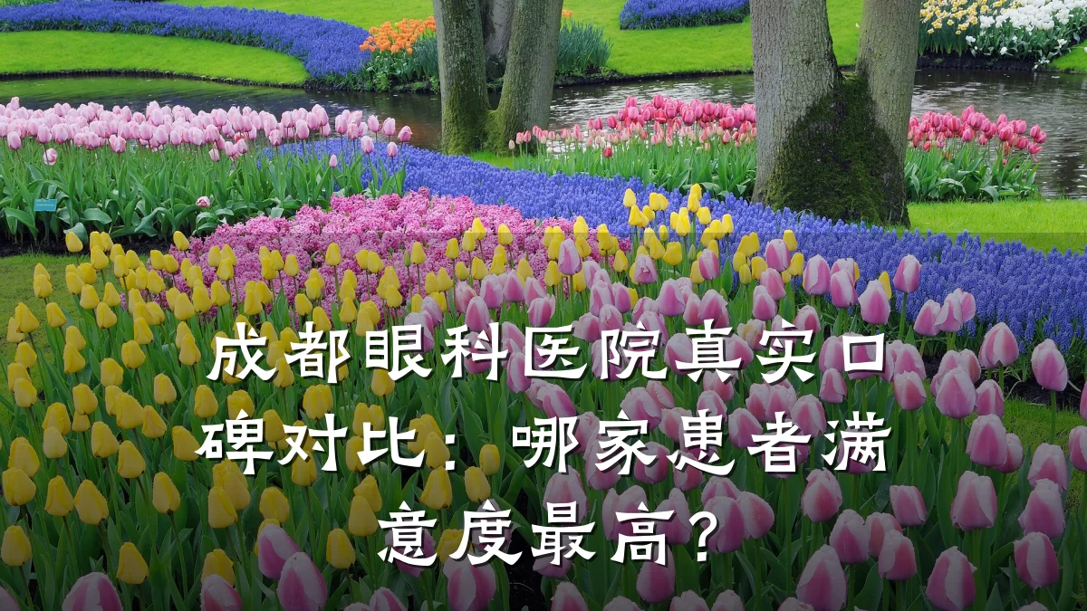 成都眼科医院真实口碑对比:哪家患者满意度最高?