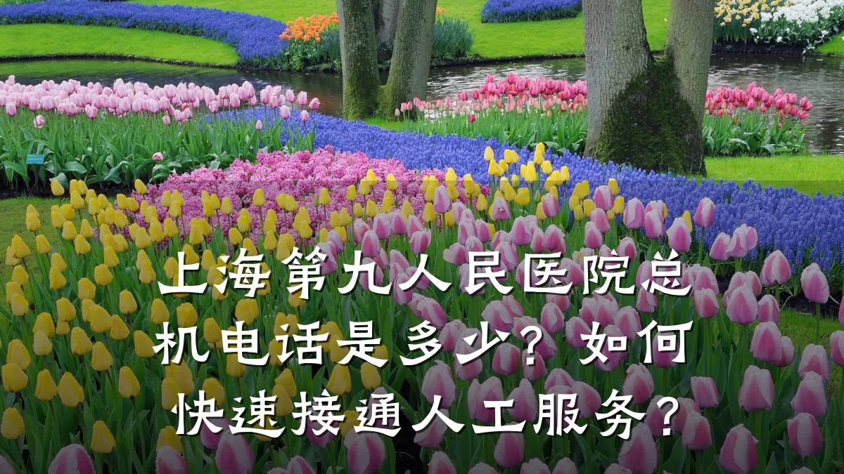 上海第九人民医院总机电话是多少?如何快速接通人工服务?