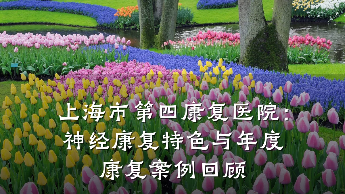 上海市第四康复医院:神经康复特色与年度康复案例回顾