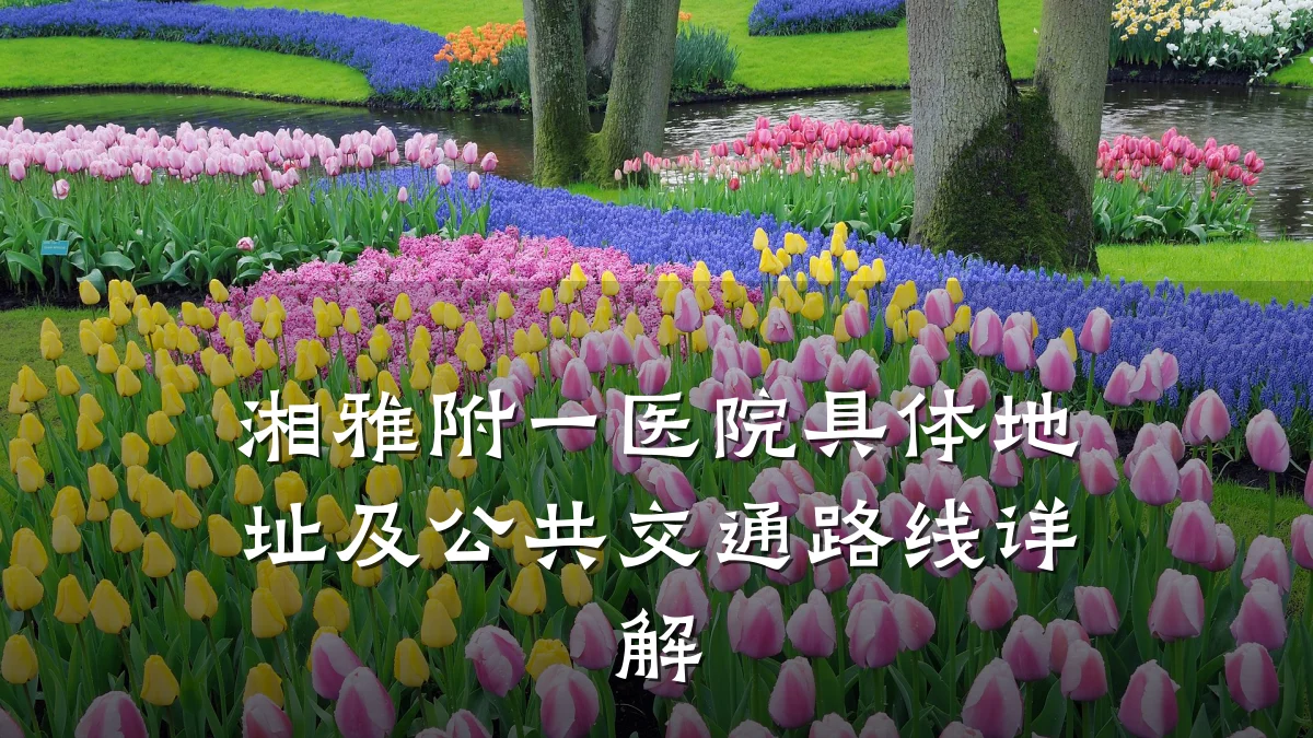 湘雅附一医院具体地址及公共交通路线详解