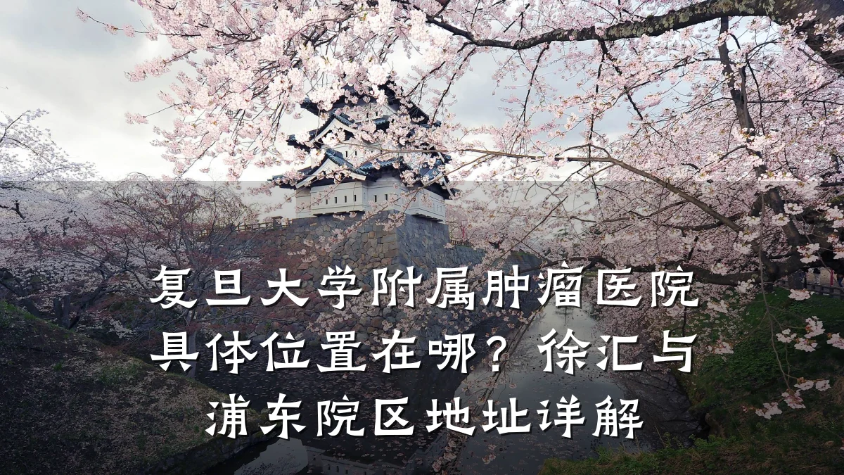 复旦大学附属肿瘤医院具体位置在哪?徐汇与浦东院区地址详解
