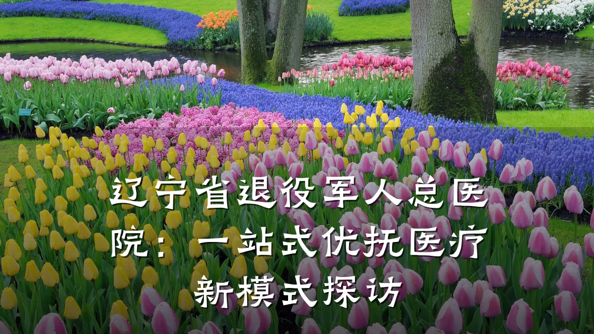 辽宁省退役军人总医院:一站式优抚医疗新模式探访