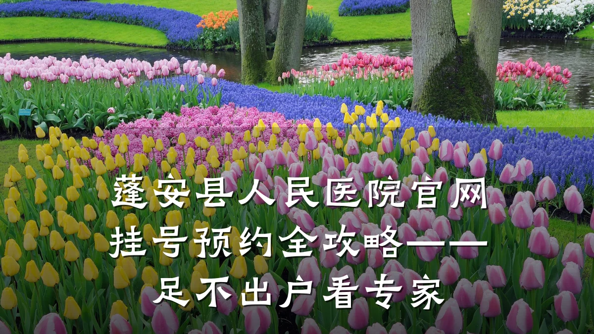 蓬安县人民医院官网挂号预约全攻略——足不出户看专家