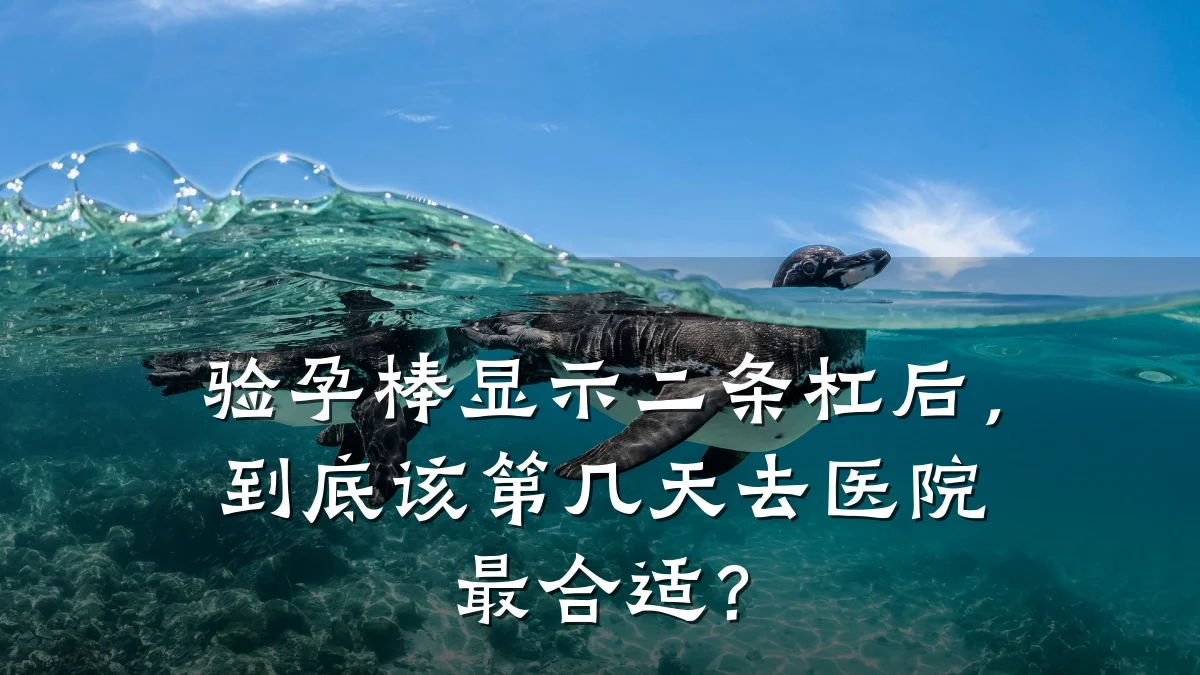 验孕棒显示二条杠后,到底该第几天去医院最合适?